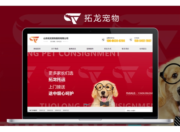煙臺網(wǎng)站建設(shè)